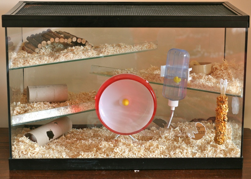 glass mouse cage